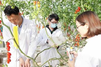 【中国新农人】一名青年科学家的新农业之路